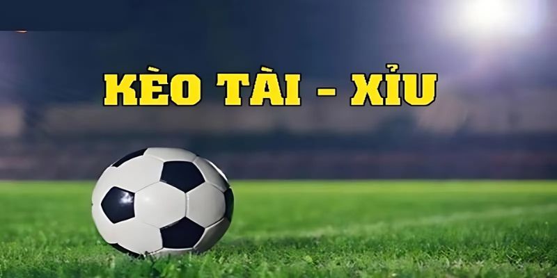 Kèo tài xỉu là gì? Cách đọc kèo và mẹo chơi dễ thắng 2 kèo tài xỉu là gì?